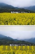 澳门足球现场比分-澳门足球现场比分，激情与热血的实时交响曲